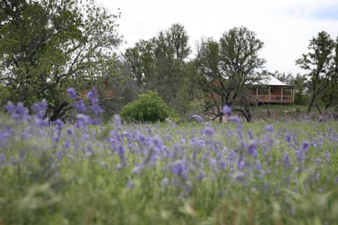 City On A Hill At Spring Creek Fredericksburg Dış mekan fotoğraf